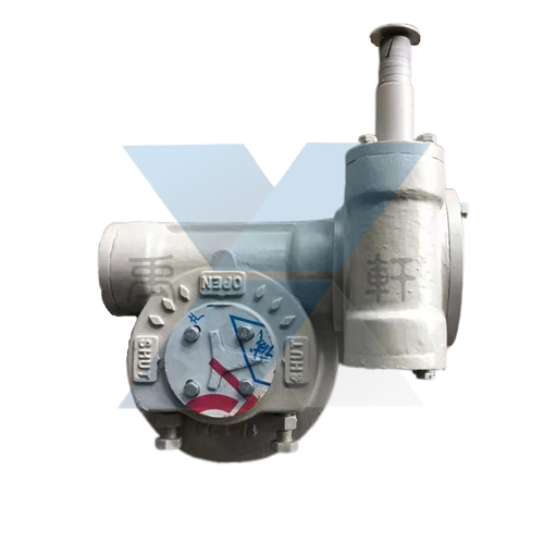 QDX3-C5pT䓜u݆
